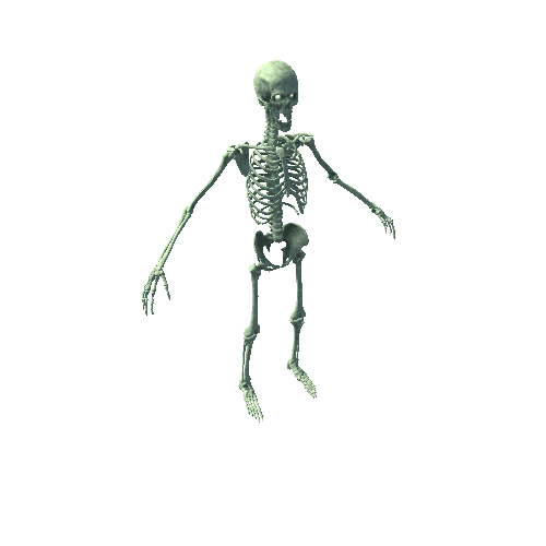 SK_Samurai_Skeleton_Modular (1)